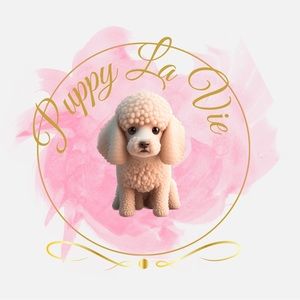 Meet your Posher, Chasity